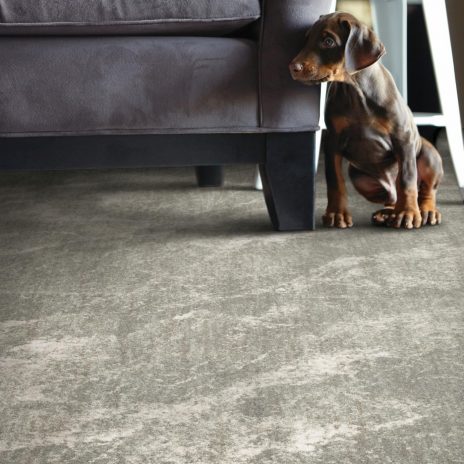 Carpet flooring | Shans Carpets And Fine Flooring Inc