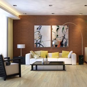 Living room interior | Shans Carpets And Fine Flooring Inc