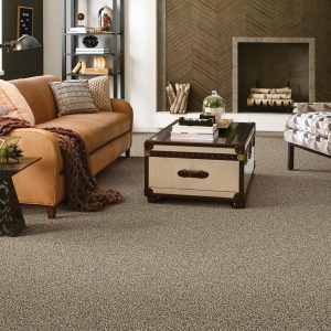 Living room Carpet flooring | Shans Carpets And Fine Flooring Inc