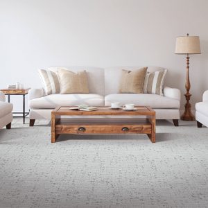 Living room Carpet | Shans Carpets And Fine Flooring Inc