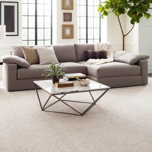 Living room Carpet flooring | Shans Carpets And Fine Flooring Inc