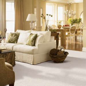 White Carpet in Living room | Shans Carpets And Fine Flooring Inc