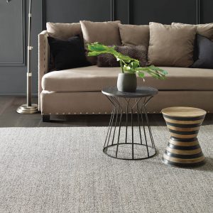 Living room grey Carpet | Shans Carpets And Fine Flooring Inc