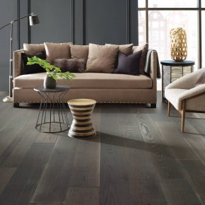 Living room Hardwood flooring | Shans Carpets And Fine Flooring Inc