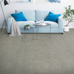 Dark grey Carpet | Shans Carpets And Fine Flooring Inc