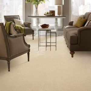 Carpet flooring | Shans Carpets And Fine Flooring Inc