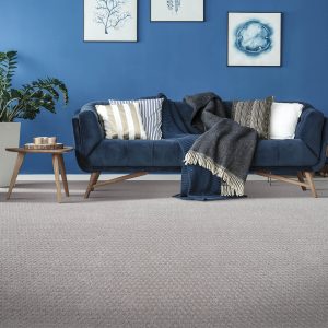 Blue colorwall | Shans Carpets And Fine Flooring Inc