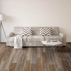 Sofa on Vinyl flooring | Shans Carpets And Fine Flooring Inc