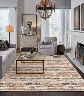 Area Rug in living room | Shans Carpets And Fine Flooring Inc