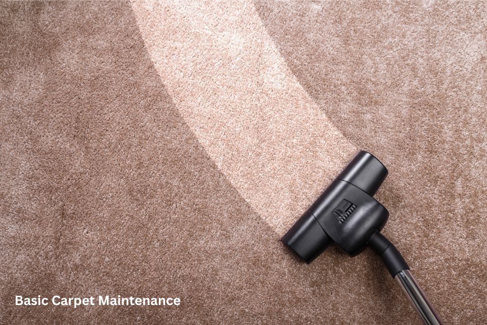 Carpet floor cleaning | Shans Carpets And Fine Flooring Inc