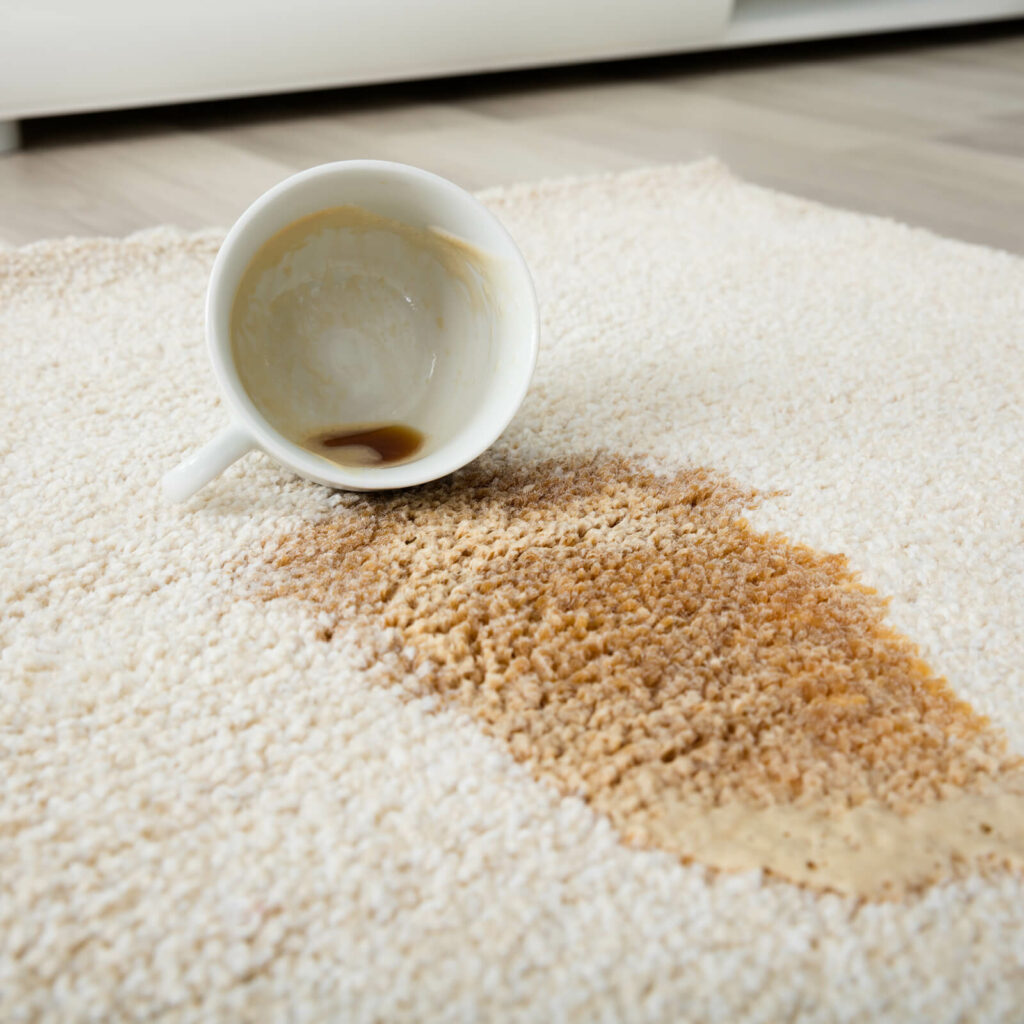 Carpet floor cleaning | Shans Carpets And Fine Flooring Inc