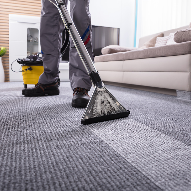 Carpet cleaning | Shans Carpets And Fine Flooring Inc