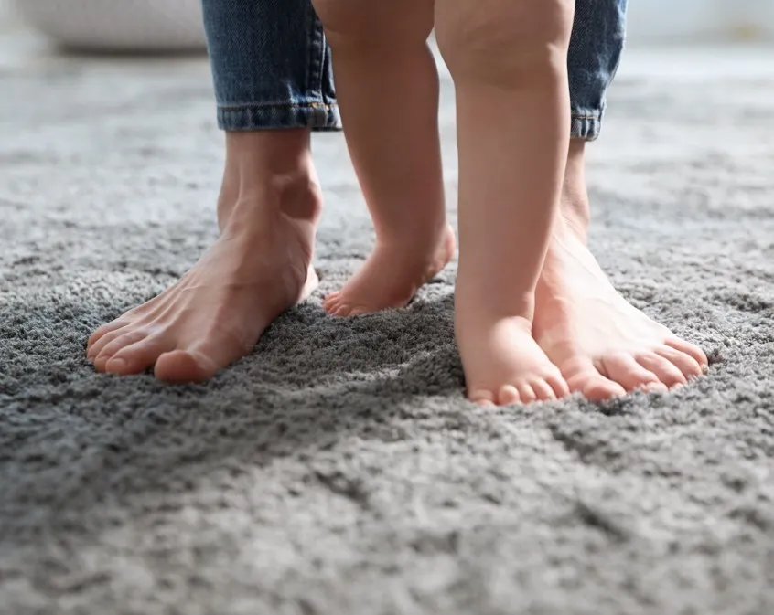 imgi_8_carpet-care